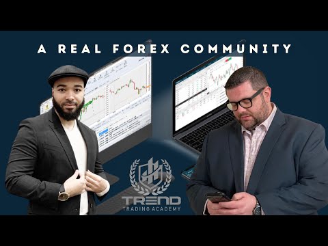 Are You Tired of MLM Forex Companies – Forex – Real Forex Community