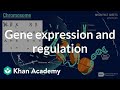 Connecting DNA, Chromosomes, and Genes in Molecular Biology