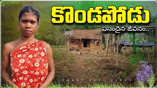 Tribals Home Located in dense forest || natural lifes on hills || #villages