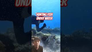 Hunting Fish With High Skills #fishing #fish #ocean @SpearFishingR