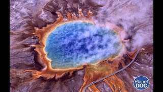How many individuals live in Yellowstone National Park? The answer will surprise you...