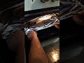 Форель Судак