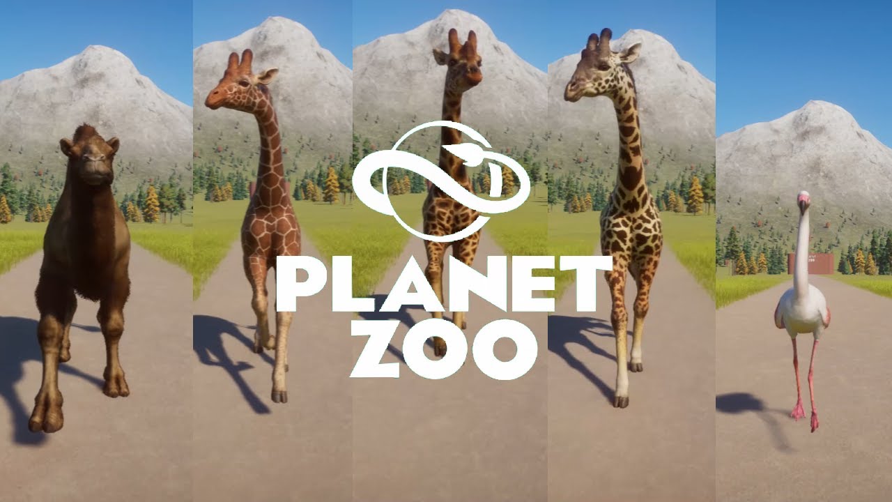 Long Neck Animals Speed Races in Planet Zoo | Giraffe, Flamingo, Camel, Ostrich & etc