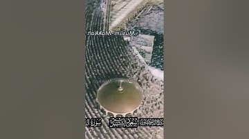 ما تيسر من سورة #الأنعام #سعود_الشريم