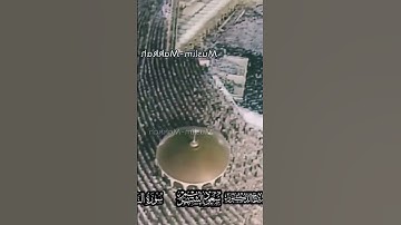 ما تيسر من سورة #الأنعام #سعود_الشريم