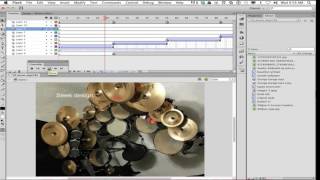 Adobe Flash CS6: Logo Commercial Assignment