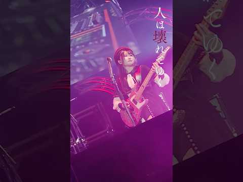 KiLLKiSS ライブ初公開 AveMujica Anime ムジカアニメ バンドリ 冬アニメ