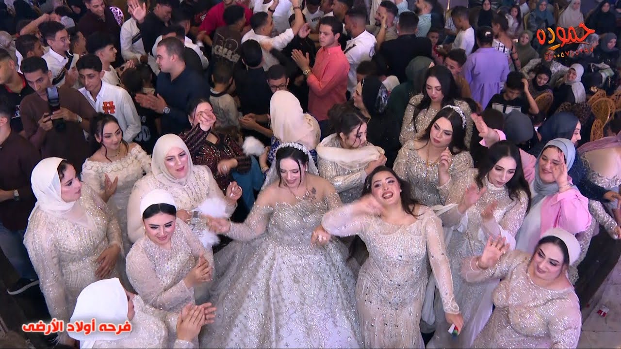 استقبال اوشا و سيكو 😍2025💪 مليونيه اولاد الارضى - قاعه ريفيرا بلاس - ميت غمر