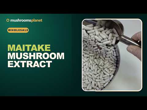 Maitake mushroom extract video review