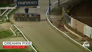 Dreaming Pixie - OXFORD MAIDEN 450