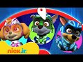 Paw patrol mighty pups spin the wheel w rocky chase  skye  games for kids  nick jr