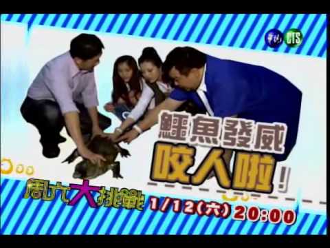 0112周六大挑戰-安心亞溜彈塗魚言言被鱷魚咬