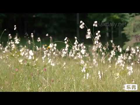 دواء انت في قلبي و داء كل الأمرين في ظني سواء ما أروع هذا الشعر بديع