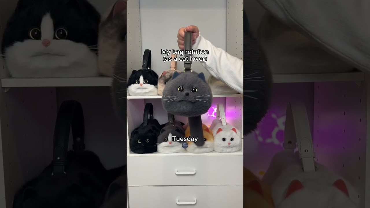 They all deserve equal attention 🫶🐾