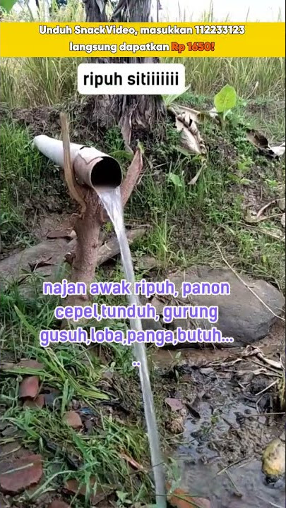 teu,indit moal meunang duit #snackfamily #pemandangan_alam #sawah #gunung #pejuangrupiah