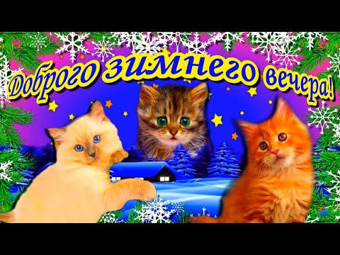 Добрый вечер! Пусть зимний вечер принесет уют! Музыкальная открытка.