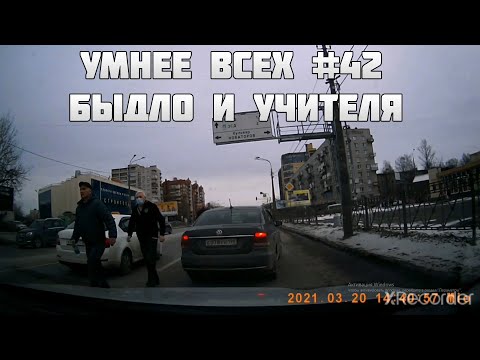УМНЕЕ ВСЕХ #42. БЫДЛО И УЧИТЕЛЯ НА ДОРОГЕ