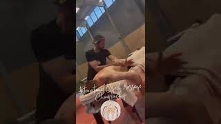 Czech Republic Massage Championship Profile
