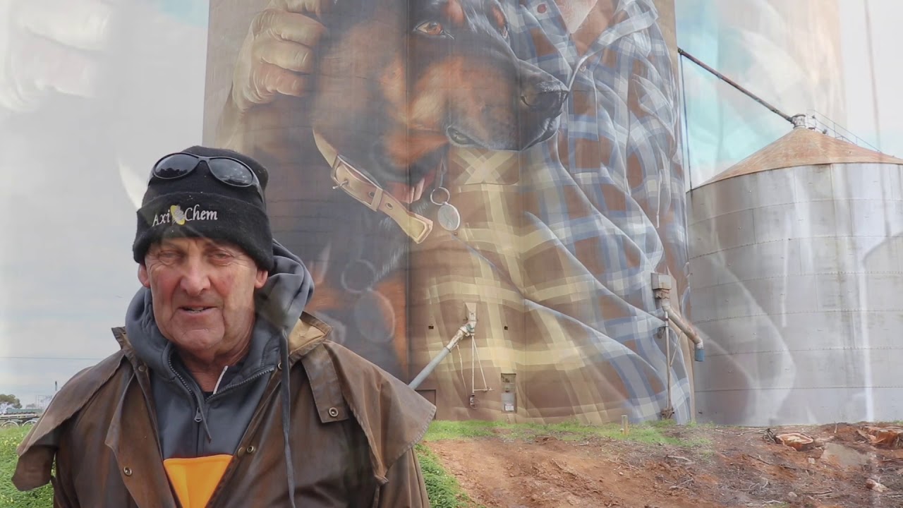 The Nullawil Silo Art Story