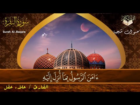 اواخر سورة البقرة آمن الرسول بما أنزل إليه من ربه والمؤمنون بصوت علاء عقل