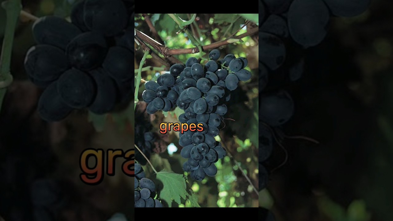 Fruit mentioned in the 