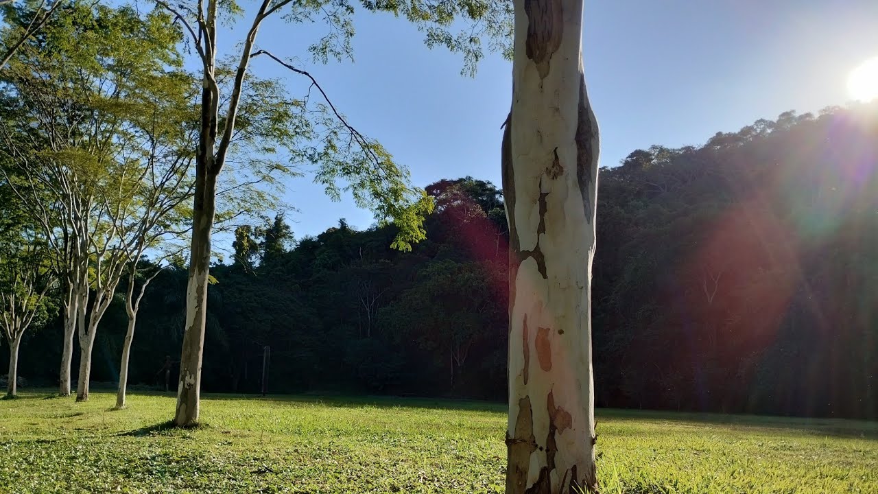 Música Suave para Acalmar e Pacificar | Instrumental Piano