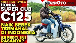 Video Bebek Termahal di Indonesia, Ternyata Enggak Semuanya ...