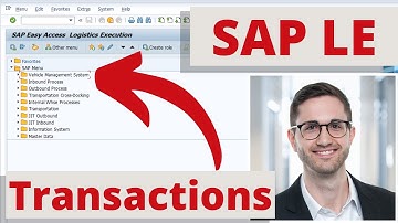 SAP LE: The most important SAP Transactions in Logistics Execution (SAP LE)