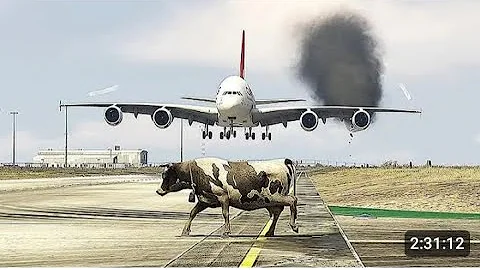 Cow Accidentally Come Runway During Airplane Landing Airport Gtav