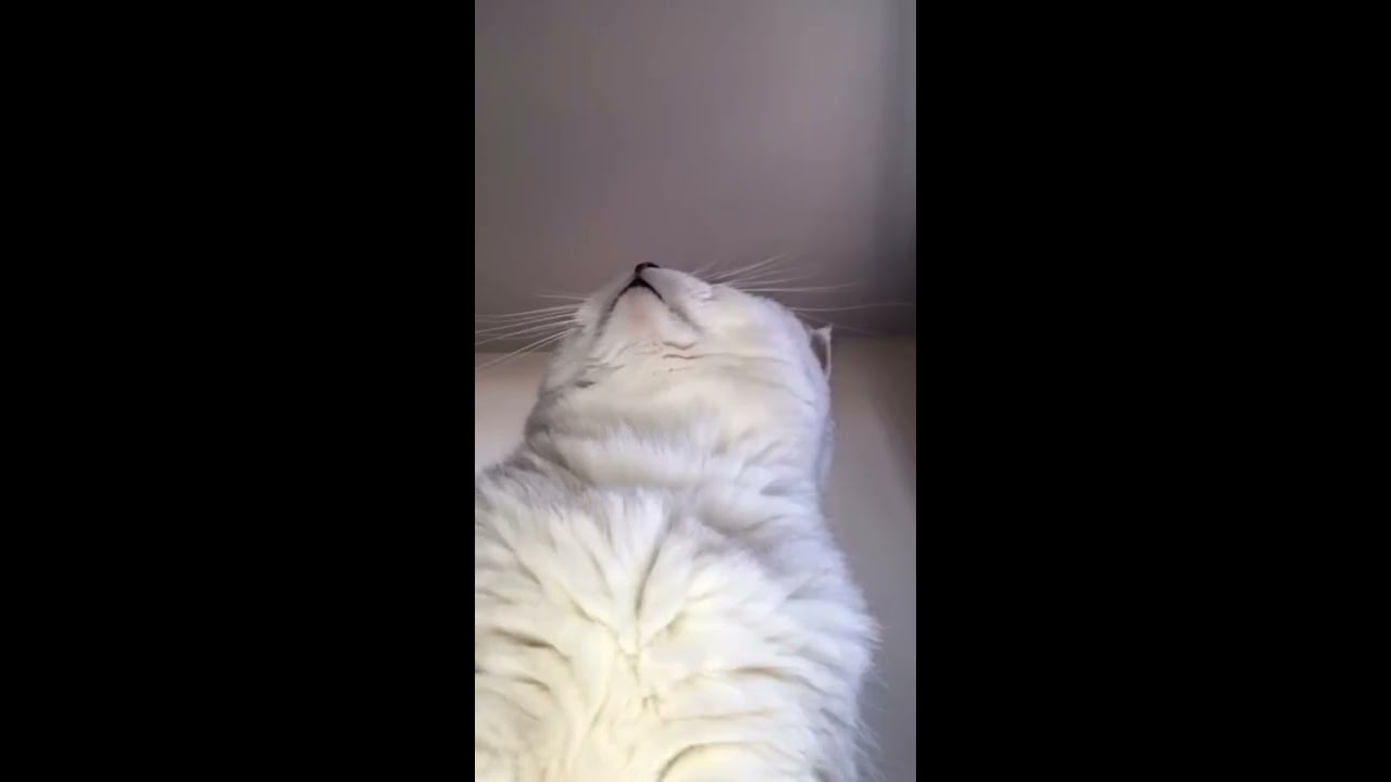 Mmmm 