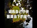 201607 训练自己尽快回到当下的能力25400