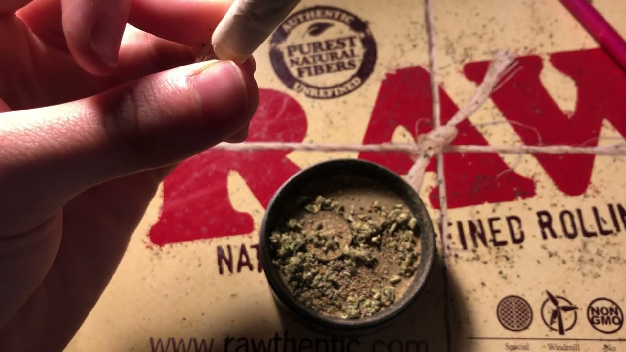 Frosted Gelato 22.37% Jungle Boys Palm Harbor