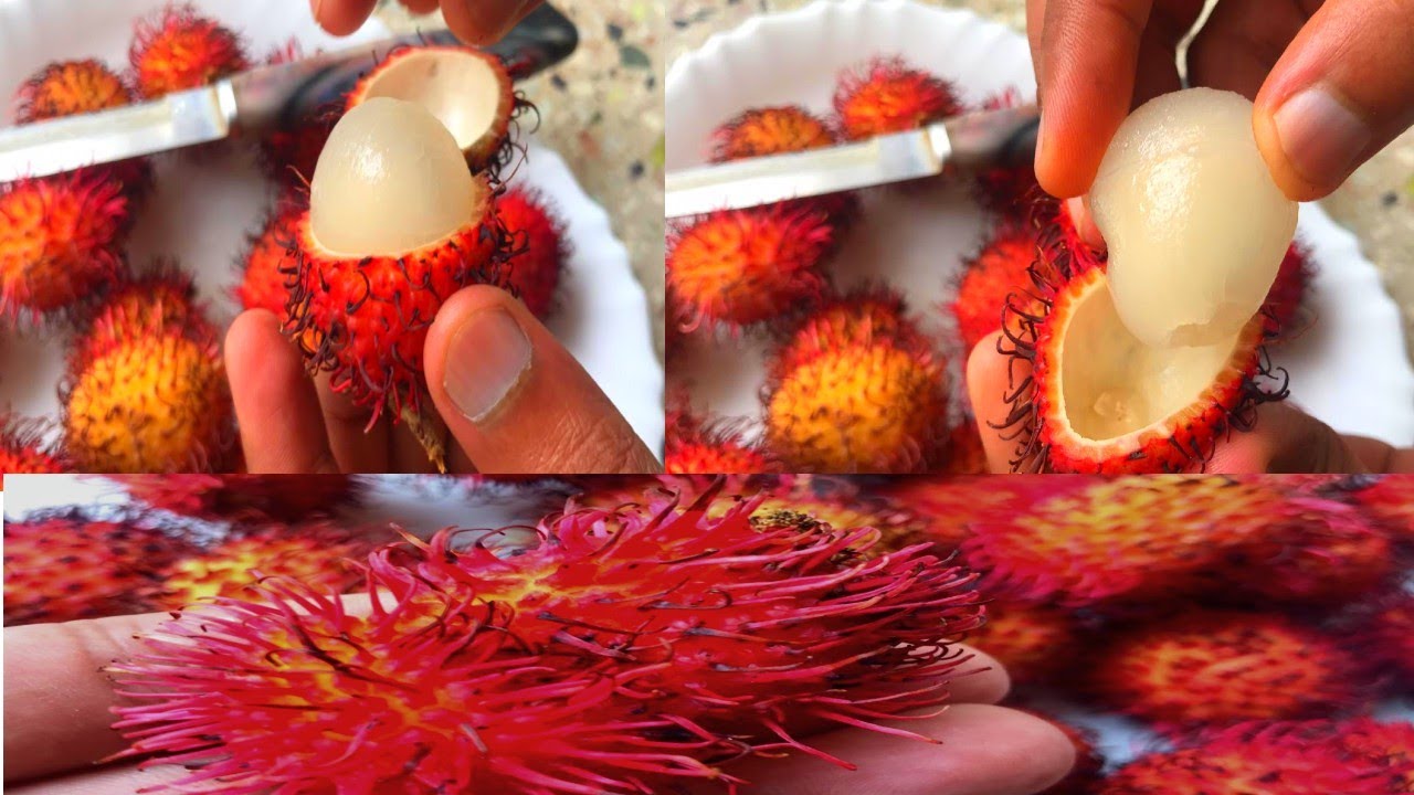 Rambutan Fruit Benefits of Rambutan Fruit in tamil Healthy fruits