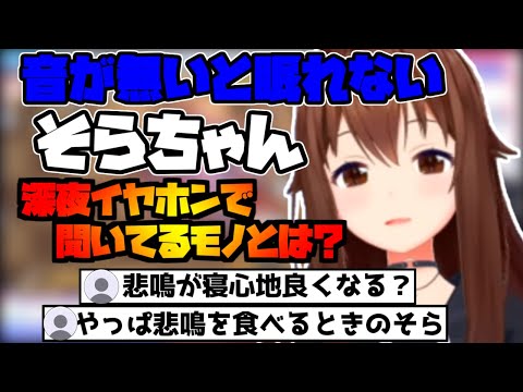 そらちゃんが眠る時に聞いているモノ…【2024/02/08 #ホロライブ切り抜き #ホロライブ #ときのそら】