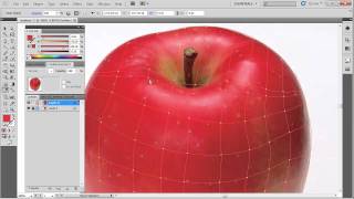 Draw realistic pictures with Adobe Illustrator mesh tool