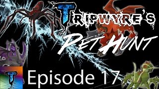 FOUR New Pets! | Post-Max Pet Hunt Episode 17 | Main Progress Series