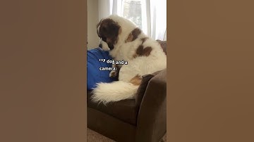 This Is the Quietest Side Hustle I’ve Found. #shortsmonetization  #realwaystomakemoneyfromhome