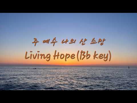 Living Hope(Bb Major 4parts ensemble) - Phil Wickham