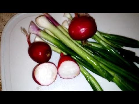 Video: Daikon - ճապոնական բողկ. Օգտակար հատկություններ, ցանքս և խնամք