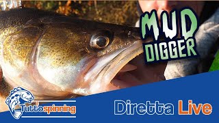 🔴 LIVE: Scopriamo il nuovo Mud Digger di Fiiish