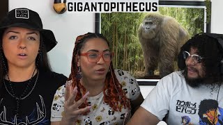 Gigantopithecus: The Biggest Ape EVER! | Lindsay Nikole Reaction