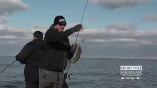 St. Clair River Walleye Fishing