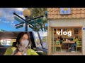 Vlog  last day of ramadan korean cafe cat grooming 