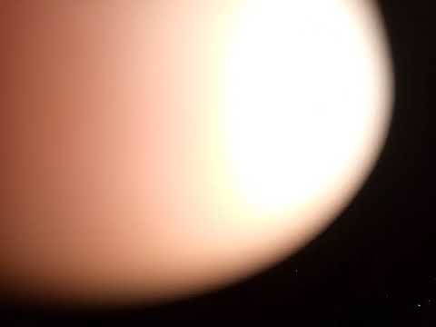 კომისიაში. ყოფნა