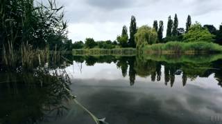 Secret Garden - Reflection