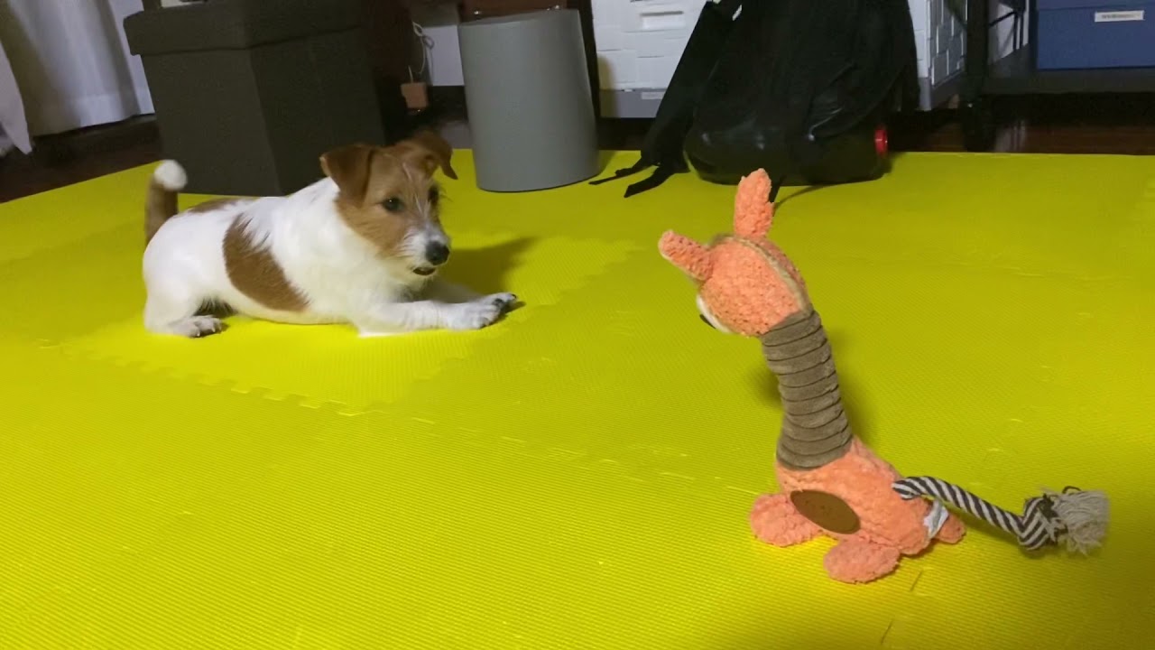 のすけのKISS〜エンダー♪〜