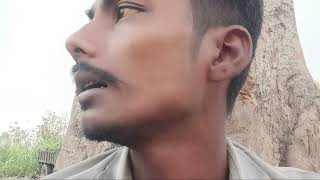 #new #trending #viral video #bhojpuri #song dinesh Kumar naunia super 👌 👍 😍 🥰 😘 ☺️ 2026