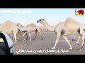 عرض منقية رجل الاعمال زايد بن عبيد المقاطي العتيبي 1442 3 28 
