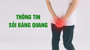 Sỏi bàng quang - 7 triệu chứng và cách điều trị