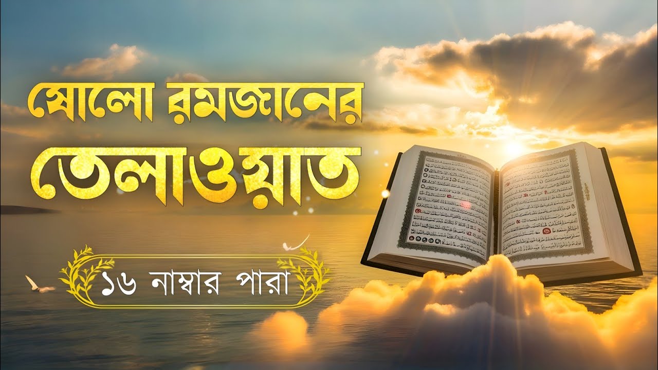 রমজানের ষোলো তম দিনের পবিত্র তেলাওয়াত | ১৬ নাম্বার পারা | Ramadan Special Tilawat
